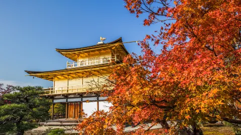 Kinkaku-ji attraction in Kyoto