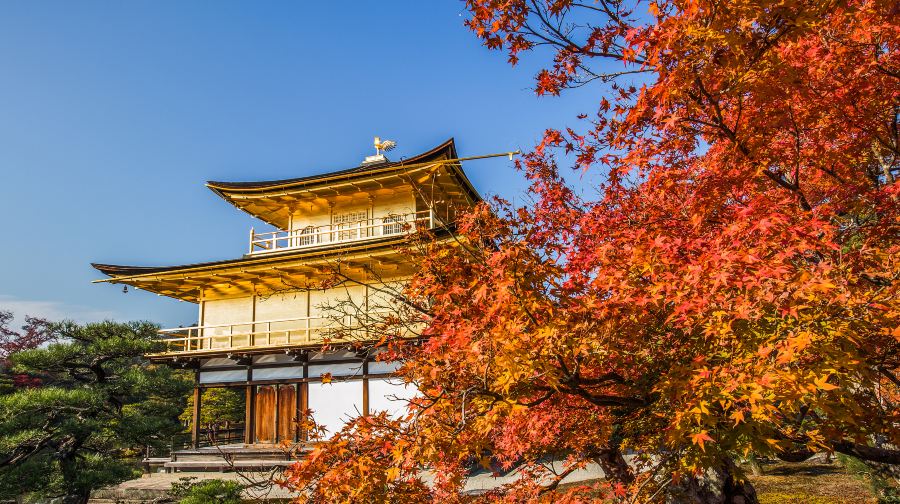 【純玩】金閣寺+清水寺+伏見稻荷大社日本大阪京都一日遊