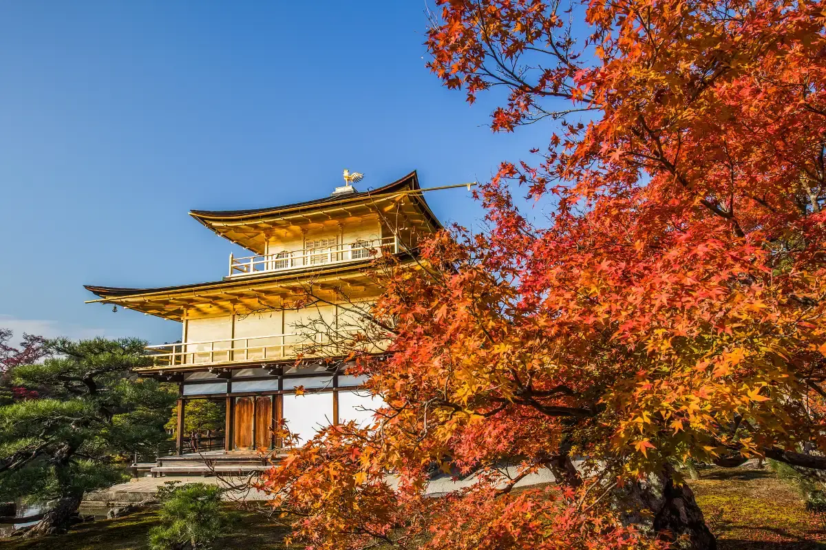 Autumn in Kyoto