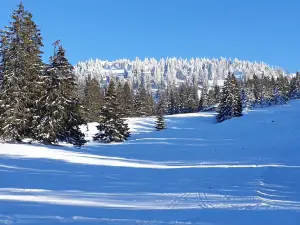 ski resort Redhead - massif Tuffes - door Dipper