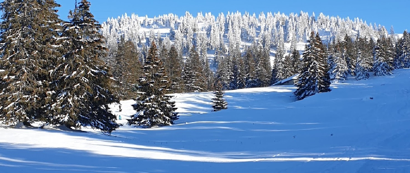 ski resort Redhead - massif Tuffes - door Dipper
