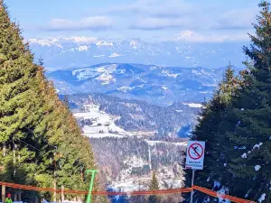 STC Stari vrh D.O.O.
