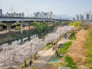 清溪川