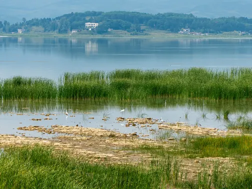 草海國家級自然保護區