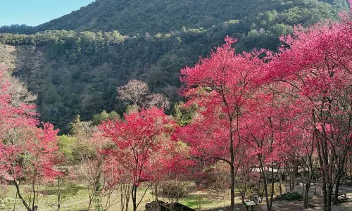Basianshan National Forest Recreation Area