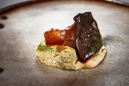 Achilli al Parlamento