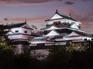Popular Night Attractions in Ehime Prefecture
