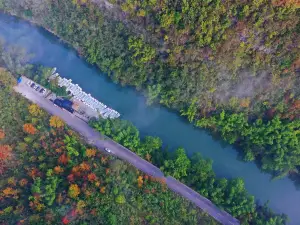 Popular Fall Viewing Attractions in Ziyun