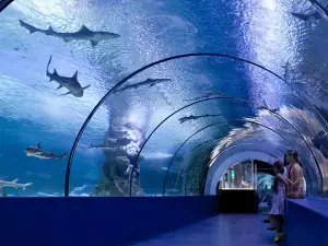 Acuario "Mar de Cortés"