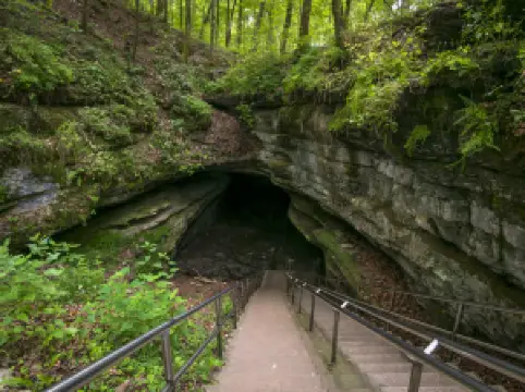 マンモス・ケーブ国立公園