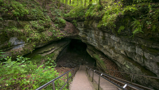 อุทยานแห่งชาติถ้ำแมมม็อธ