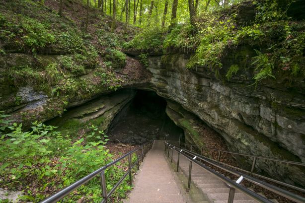Mammoth Cave National Park
