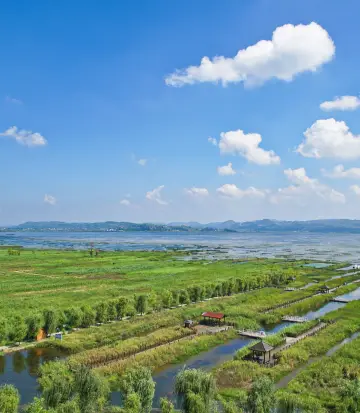 เหว่ยหนิง