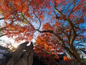 留園