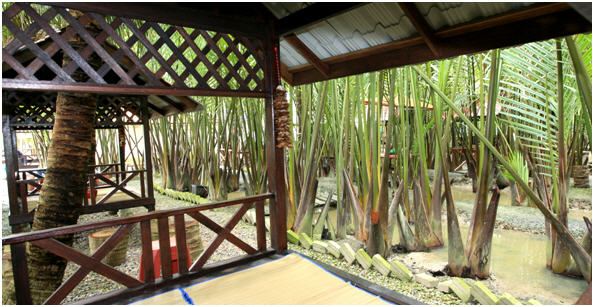 Ladang Nipah Kipli