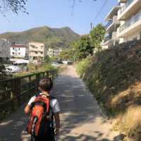 #親子游#慢步馬鞍山至榕樹澳村欣賞紅樹林