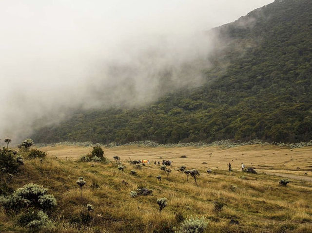 Hiking the Pangrango Mountain