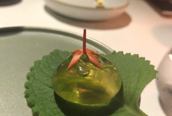 Haoma用戶圖片