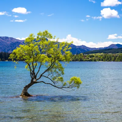 โรงแรมใกล้Lake Wanaka Tourism