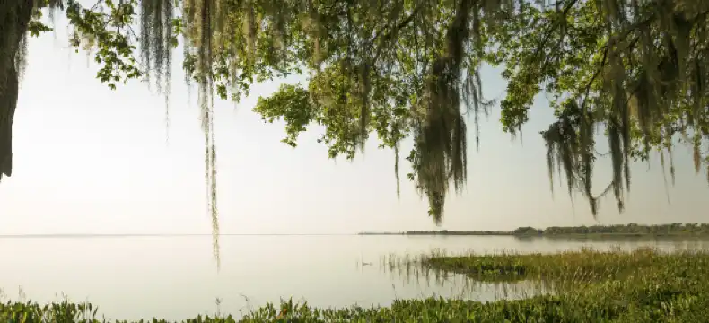 Hotels in Apopka