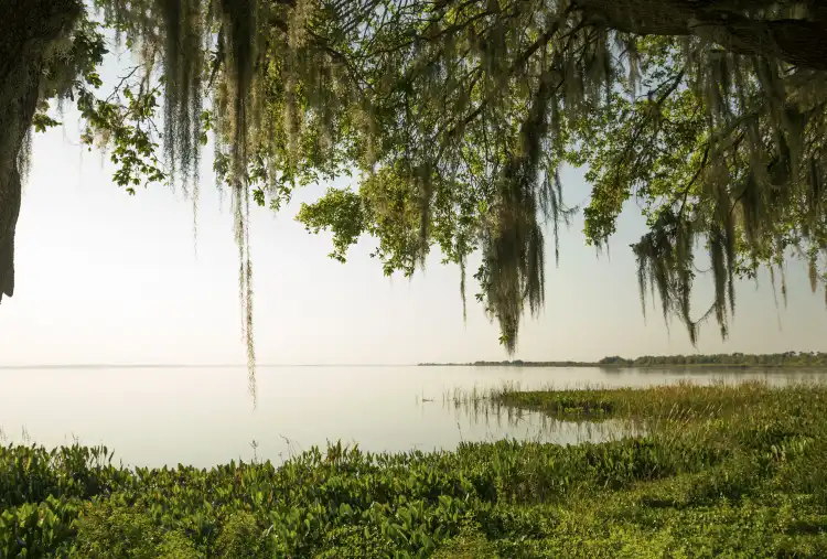 Hotels in Apopka