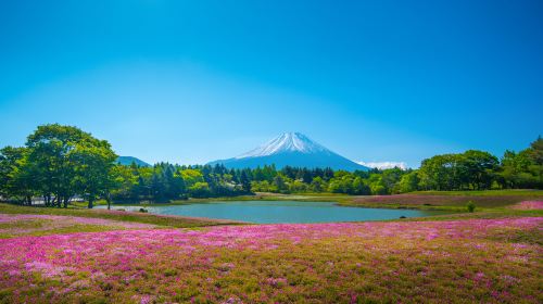 Lake Motosu