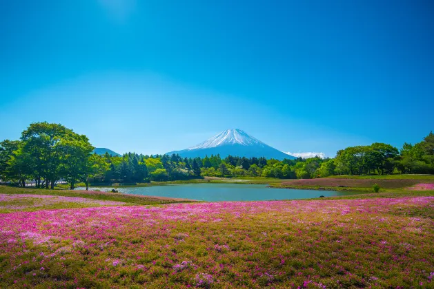 富士河口湖コテージ