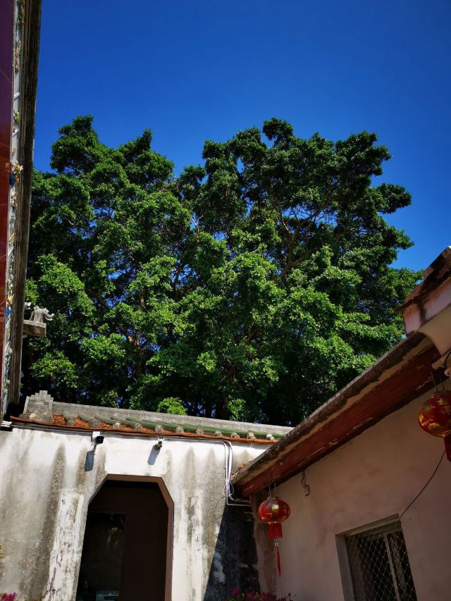 東山風動石景區