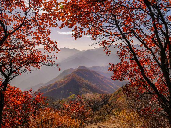 Guifeng Mountain