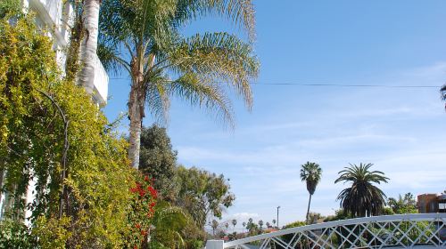 Venice Canals