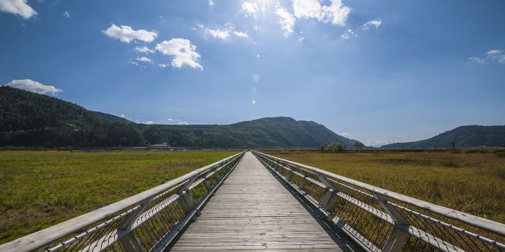 Beihai Wetland Park
