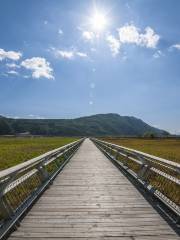 Beihai Wetland Park