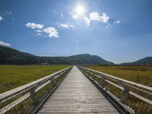 Beihai Wetland Park