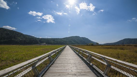 Beihai Wetland