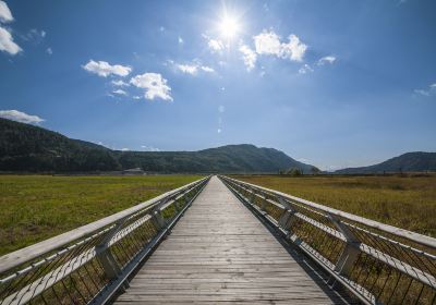 北海湿地公園