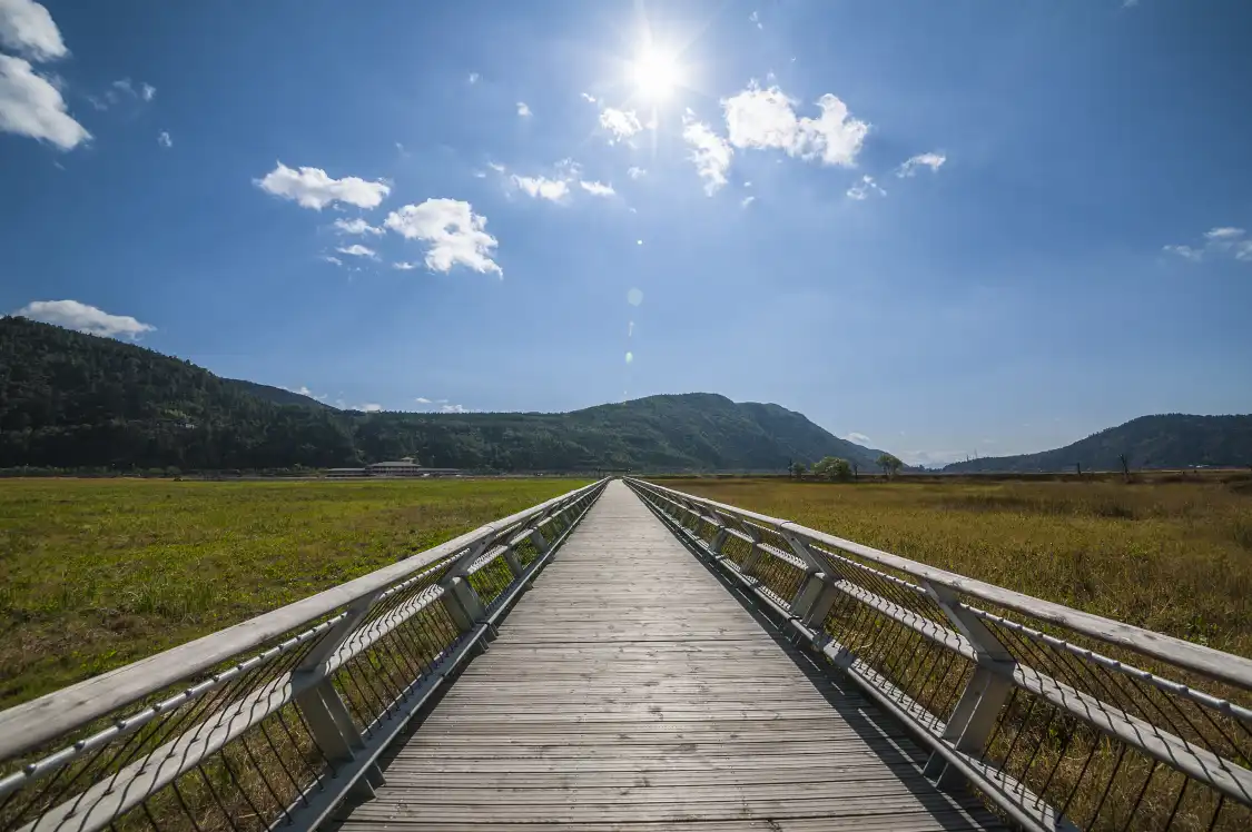 Hotels near Beihai Wetland Park