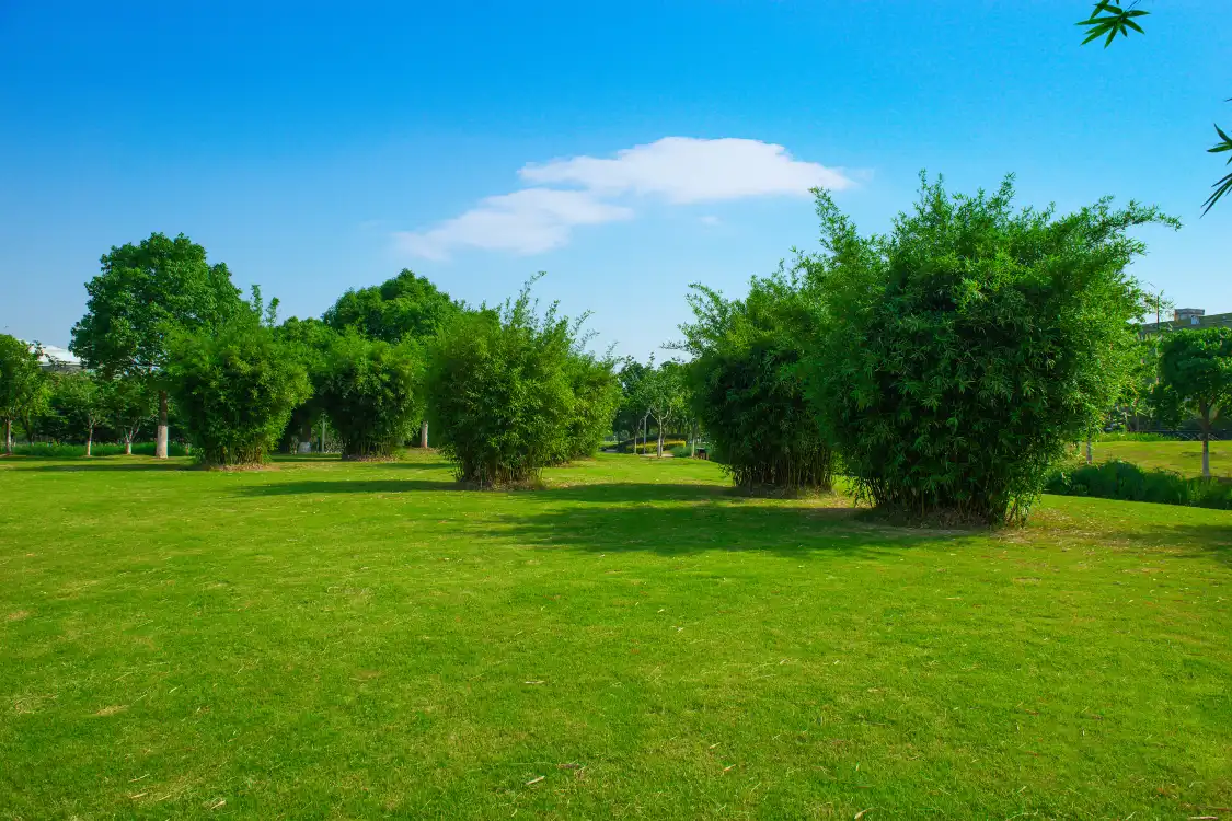 Hotels near Wangjiadun Park