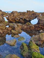 Heimaey Island, Vestmanna Islands