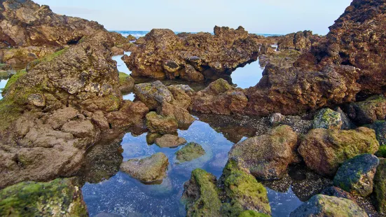 Heimaey Island, Vestmanna Islands