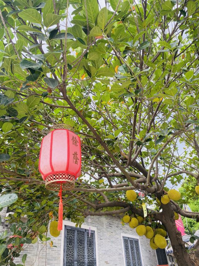 Yuyin Hill House