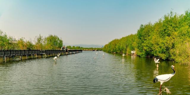 拉市海濕地公園