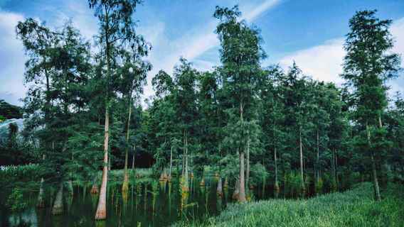 Southeast Huadu Hot Spring