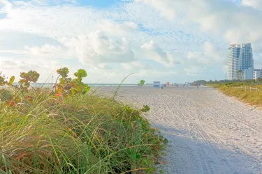 Miami Springs