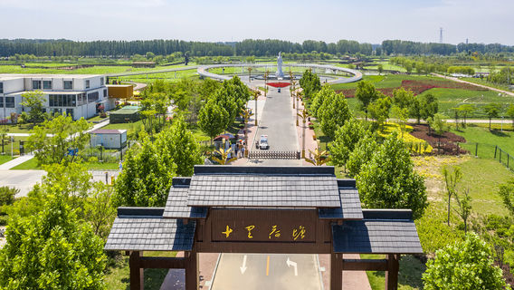 Ten Miles of Lotus Ponds