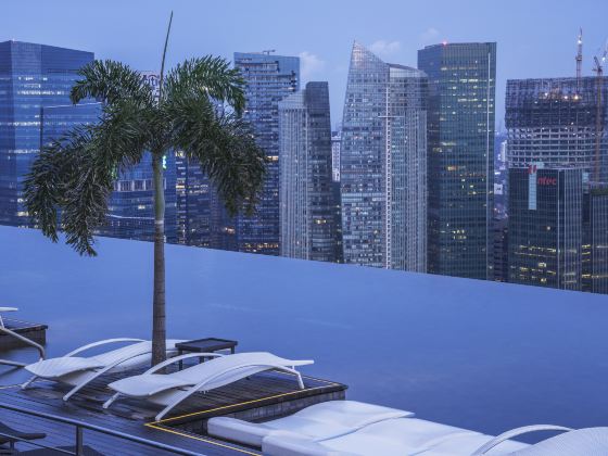 Rooftop Infinity Pool