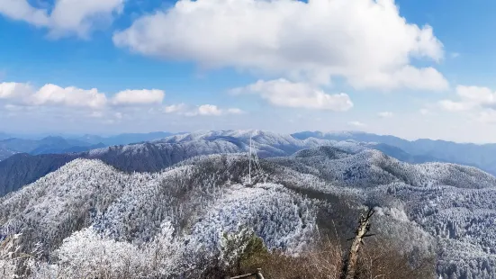 징닝 현 잔디 물고기 연못 삼림 공원