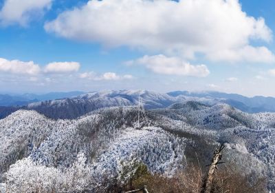 Джиннингский лесный парк лужайки