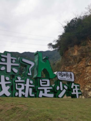 哈林野奢卡丁車農場