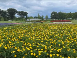鳥見山公園