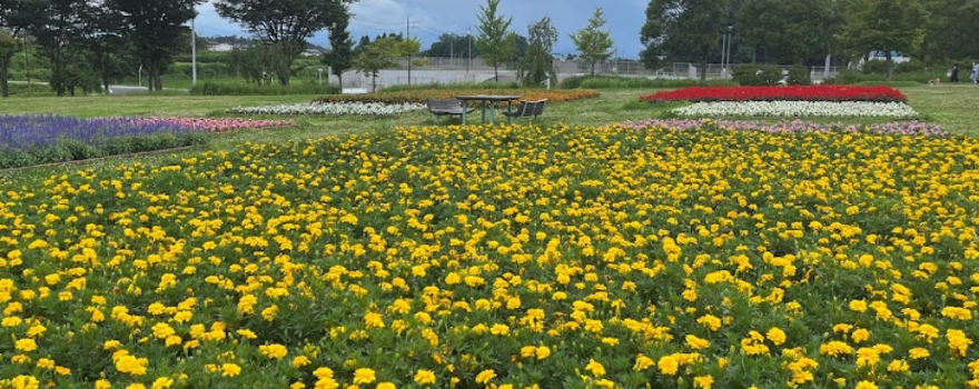 鳥見山公園